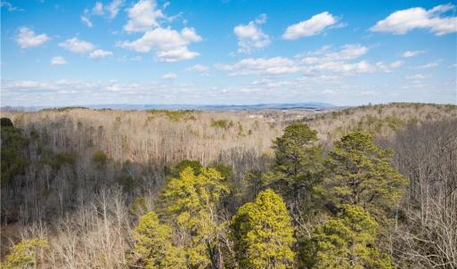 Photo #4 of 74.83 Windy Hill, Westfield, NC 74.8 acres