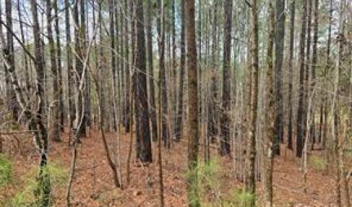 Photo #1 of 225 Cove Wood, Denton, NC 0.7 acres