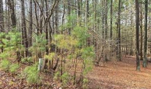 Photo #4 of 225 Cove Wood, Denton, NC 0.7 acres