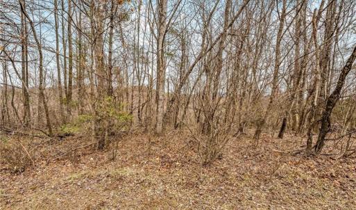 Photo #18 of TBD Meadow Creek, Galax, VA 10.0 acres