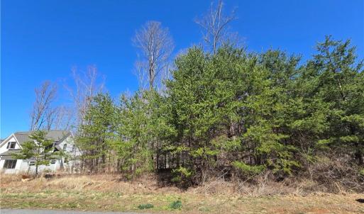 Photo #5 of 7418 Moores Mill, Stokesdale, NC 1.9 acres
