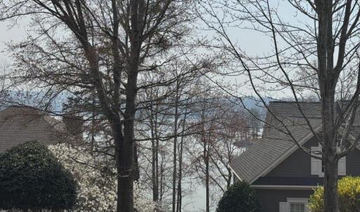 Winter Lake View