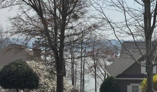 Winter Lake View