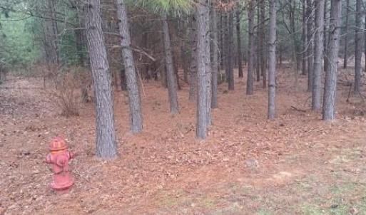 Photo #3 of 198 Water Oak, Mount Gilead, NC 0.8 acres