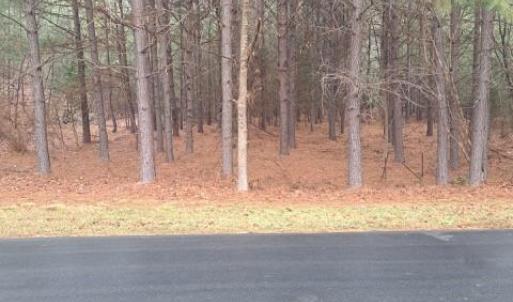 Photo #1 of 198 Water Oak, Mount Gilead, NC 0.8 acres