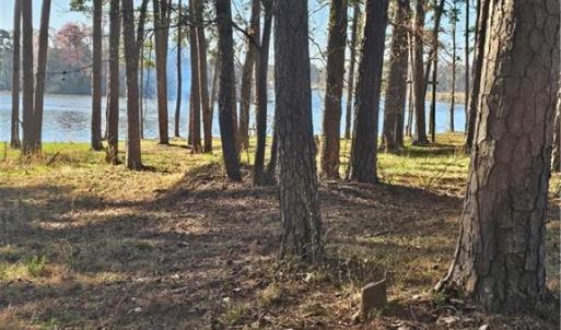 Photo #2 of Rothrock, Lexington, NC 3.3 acres