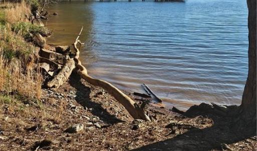 Photo #7 of Rothrock, Lexington, NC 3.3 acres