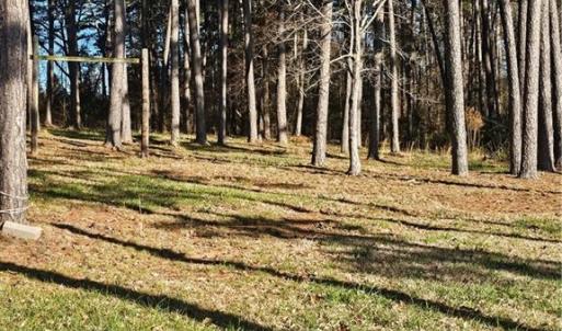 Photo #4 of Rothrock, Lexington, NC 3.3 acres