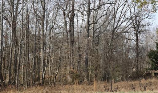 Photo #2 of Jones Chapel, Reidsville, NC 4.5 acres
