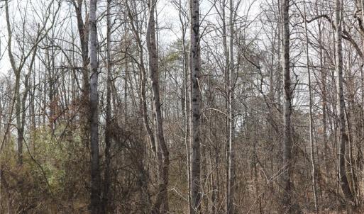 Photo #1 of Jones Chapel, Reidsville, NC 4.5 acres