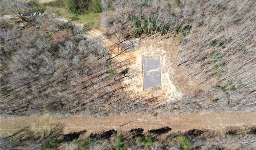 Cleared site