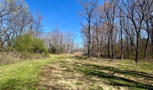 Plenty of land for ATV trails