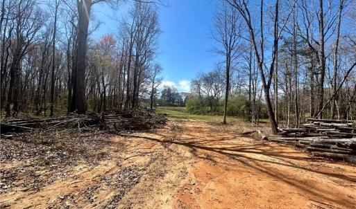 Photo #11 of 152 Paw Paw, Mocksville, NC 7.4 acres