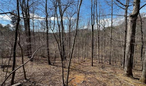 Photo #6 of Bob Mabe, Danbury, NC 23.5 acres