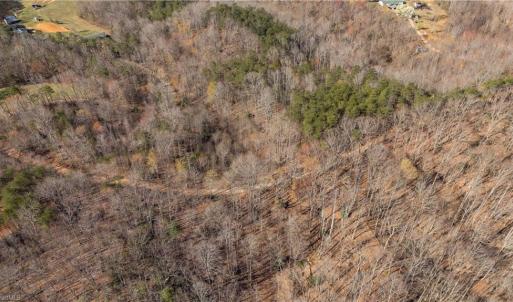 Photo #13 of Bob Mabe, Danbury, NC 23.5 acres