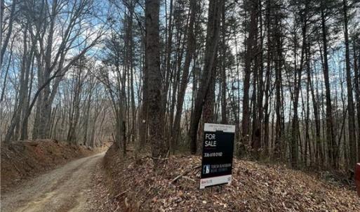 Photo #3 of Bob Mabe, Danbury, NC 23.5 acres
