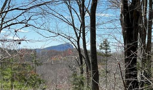 Photo #5 of Bob Mabe, Danbury, NC 23.5 acres