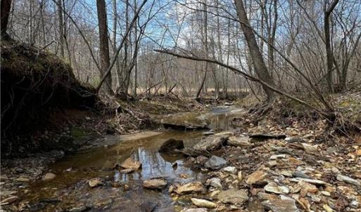 Photo #9 of Bob Mabe, Danbury, NC 23.5 acres