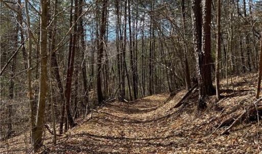 Pathway