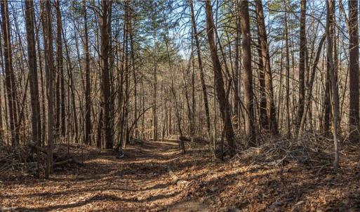 Photo #11 of Bob Mabe, Danbury, NC 23.5 acres