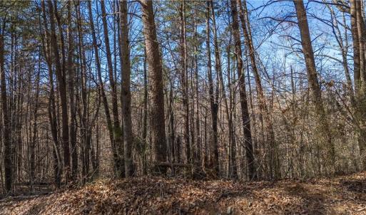 Photo #10 of Bob Mabe, Danbury, NC 23.5 acres