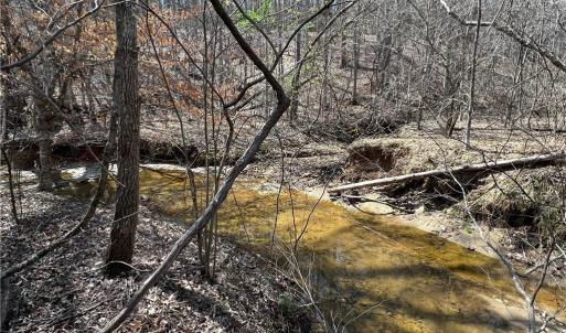 Photo #14 of Bob Mabe, Danbury, NC 23.5 acres