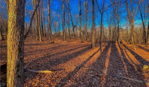 Photo #2 of 279 Palisade, Denton, NC 3.1 acres