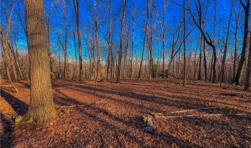 Photo #1 of 279 Palisade, Denton, NC 3.1 acres