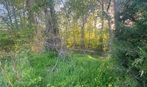 Photo #1 of 1904 Brant Pointe, Whitsett, NC 0.6 acres