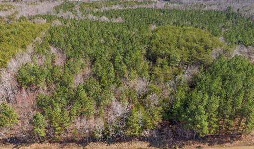 Photo #3 of 7275 Atkins, Mebane, NC 15.2 acres