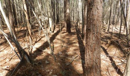 Photo #23 of Oakland, Asheboro, NC 24.0 acres