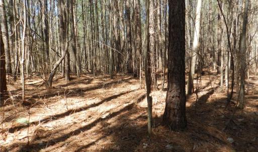Photo #2 of Oakland, Asheboro, NC 24.0 acres