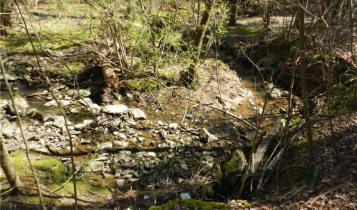 Photo #6 of Oakland, Asheboro, NC 24.0 acres