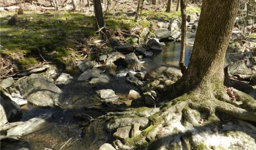 Photo #13 of Oakland, Asheboro, NC 24.0 acres