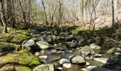 Photo #12 of Oakland, Asheboro, NC 24.0 acres