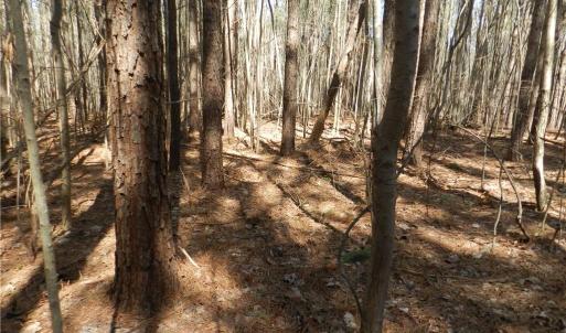 Photo #22 of Oakland, Asheboro, NC 24.0 acres