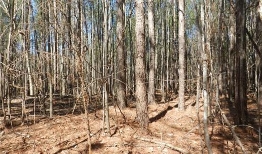 Photo #7 of Oakland, Asheboro, NC 24.0 acres