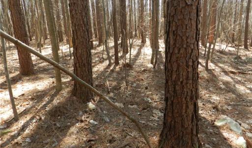 Photo #3 of Oakland, Asheboro, NC 24.0 acres