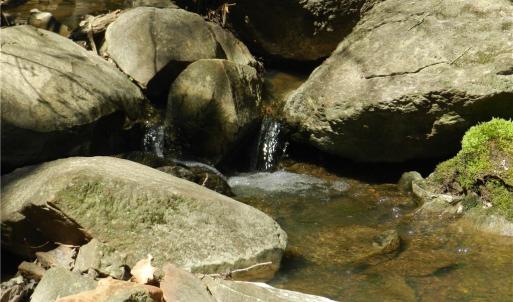 Photo #5 of Oakland, Asheboro, NC 24.0 acres