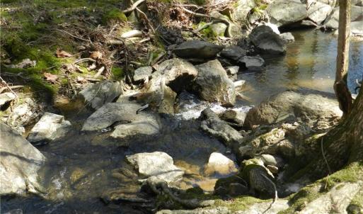 Photo #20 of Oakland, Asheboro, NC 24.0 acres