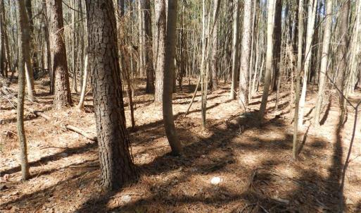 Photo #10 of Oakland, Asheboro, NC 24.0 acres