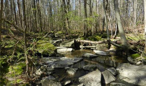 Photo #14 of Oakland, Asheboro, NC 24.0 acres