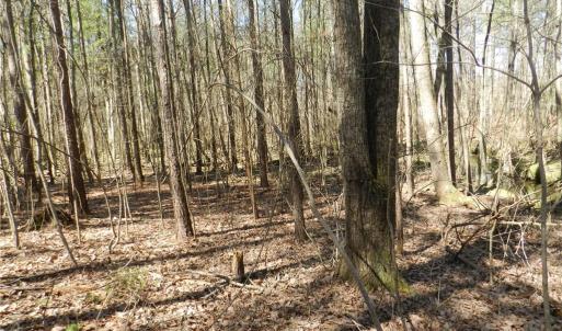Photo #18 of Oakland, Asheboro, NC 24.0 acres