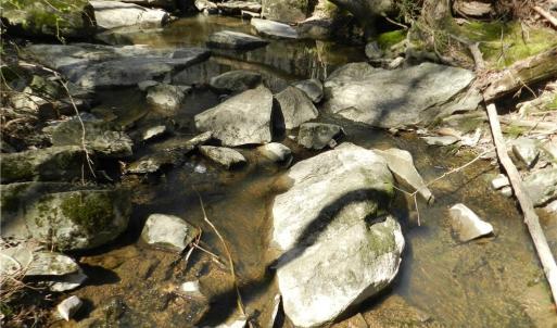 Photo #15 of Oakland, Asheboro, NC 24.0 acres