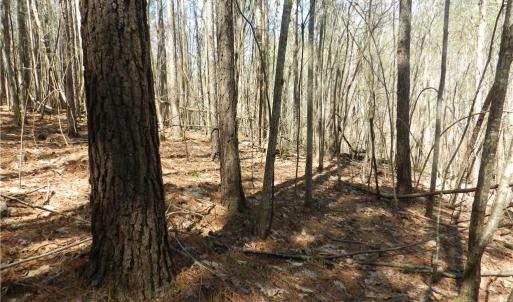 Photo #8 of Oakland, Asheboro, NC 24.0 acres