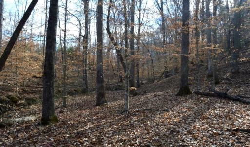 Photo #23 of Off of NC Highway 700, Pelham, NC 116.9 acres