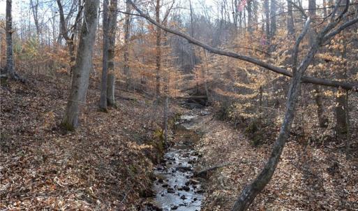 Photo #27 of Off of NC Highway 700, Pelham, NC 116.9 acres