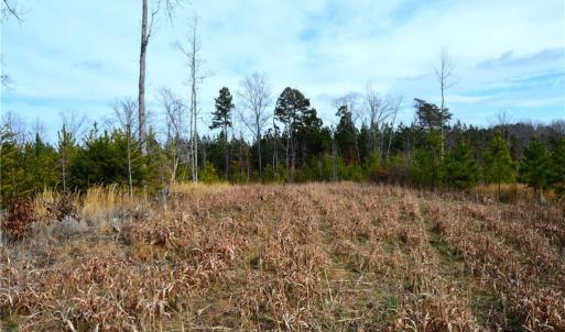 Photo #13 of Off of NC Highway 700, Pelham, NC 116.9 acres