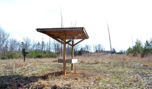 Photo #17 of Off of NC Highway 700, Pelham, NC 116.9 acres