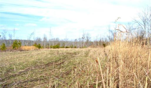 Photo #12 of Off of NC Highway 700, Pelham, NC 116.9 acres